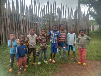 New Roots and Shoots club